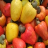 Raw Cashews with fruit